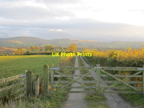 Photo 6"x4" A farm track Plumbridge c2012