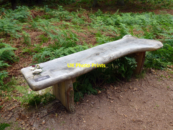 Photo 6"x4" Memorial bench at Arne nature reserve Arne c2012