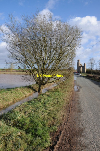 Photo 6"x4" Roadside tree, Dunstall Common Dunstall Common c2013