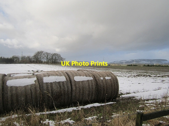 Photo 6"x4" Straw bales, Muirhead Dundonald\/NT2194 c2013