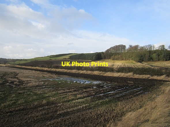 Photo 6"x4" Stubble, Clentrie Auchtertool c2013