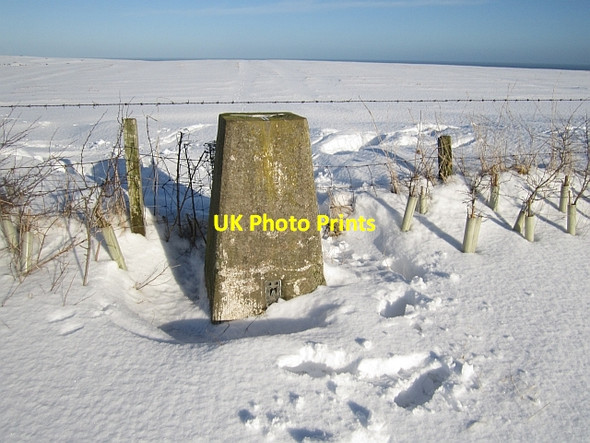 Photo 6"x4" Triangulation pillar, Halidon Hill Marshall Meadows c2013
