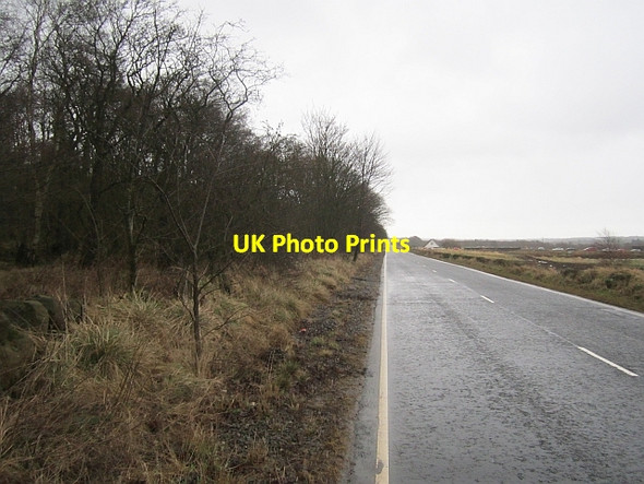Photo 6"x4" Strathore Road Kinglassie\/NT2398 c2013