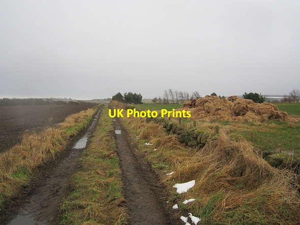 Photo 6"x4" Farm road, Cluny Cluny\/NT2495 c2013