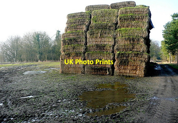 Photo 6"x4" Possible hay\/straw storage area Ettington c2013