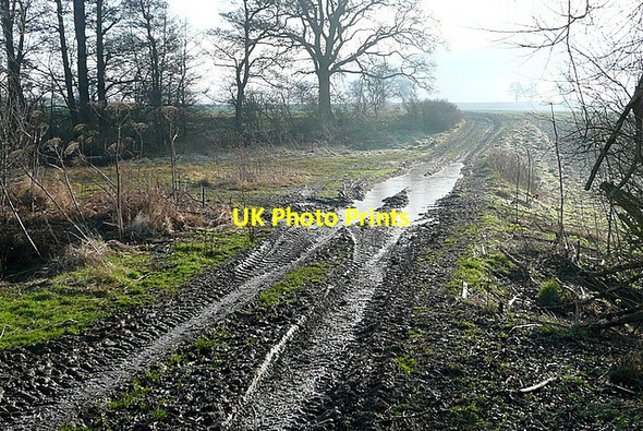 Photo 6"x4" Bridleway in Ettington Park estate Ettington c2013