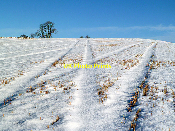 Photo 6"x4" A winter stubble field Bemersyde c2013