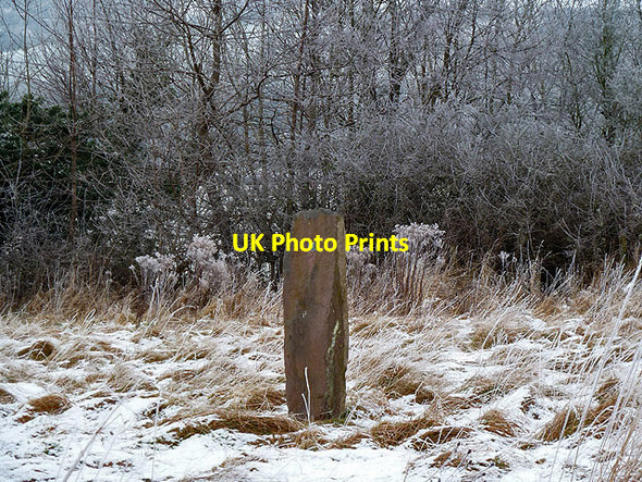 Photo 6"x4" A standing stone at Newstead Melrose\/NT5434 c2013