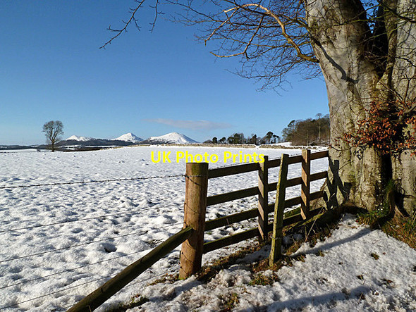 Photo 6"x4" Winter farmland Bemersyde c2013