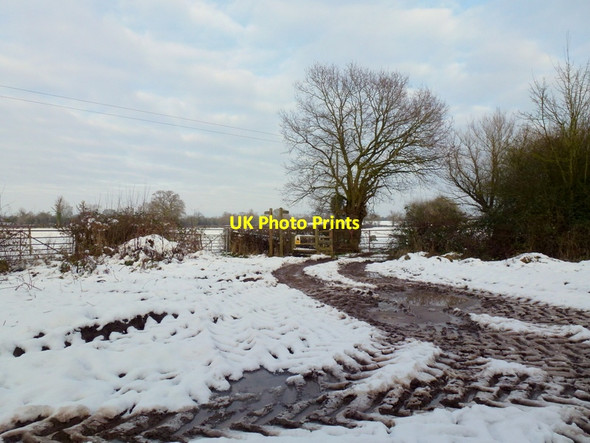 Photo 6"x4" Diverging footpaths at Grove farm Little Welland c2013