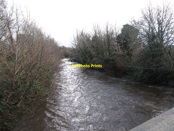 Photo 6"x4" The swollen Shimna at Islands Park Newcastle\/J3732 c2013
