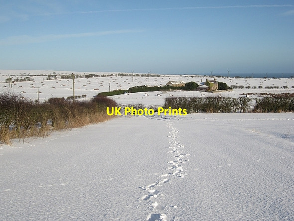 Photo 6"x4" Path, Halidon Hill Marshall Meadows c2013