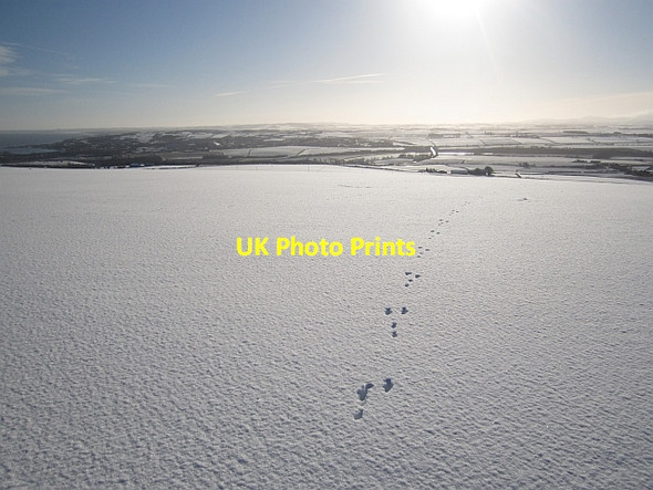 Photo 6"x4" On Halidon Hill Marshall Meadows c2013