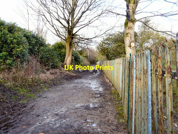 Photo 6"x4" Muddy footpath Ashton-Under-Lyne c2013