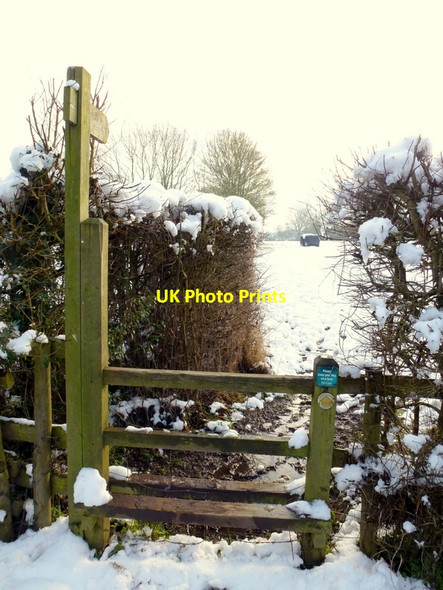 Photo 6"x4" Snowy footpath Chandler's Cross\/SO7738 c2013