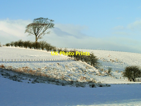 Photo 6"x4" Winter near Lochmaben Lochmaben c2013