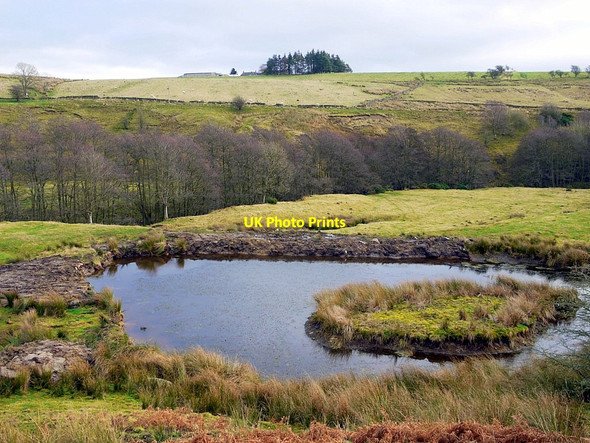 Photo 6"x4" Pond above Rowley Burn Rawgreen c2013