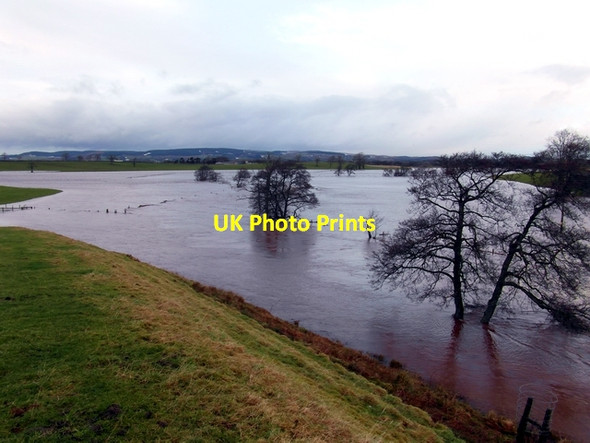 Photo 6"x4" The Kinnel Water in flood Lochmaben c2013