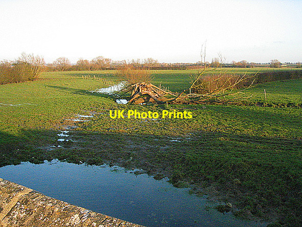 Photo 6"x4" Cracked Willow east of Whirlpool Arch - 2008 Draycot c2008