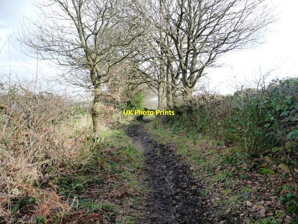 Photo 6"x4" Bridleway descending Bentcliff Hill Hill Top\/SE2705 c2013
