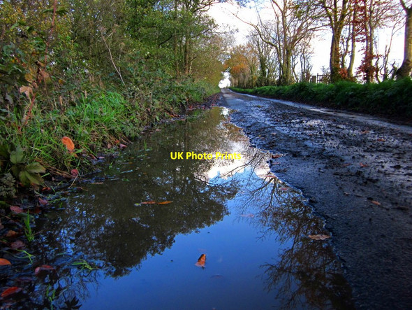 Photo 6"x4" Puddle Road Blackford\/NY3962 c2011