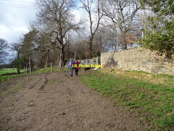 Photo 6"x4" Walking the dog at Banks Hall Cawthorne\/SE2807 c2013