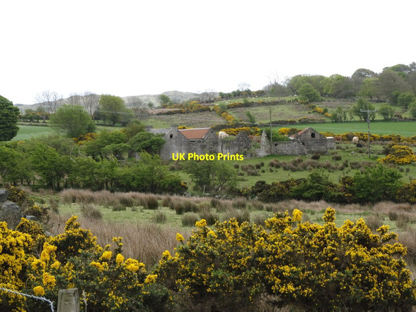Photo 6"x4" Ruined farmstead south of the B180 Kilcoo c2012