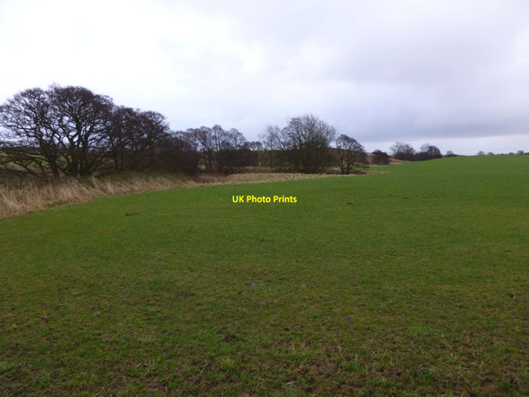 Photo 6"x4" The Waren Burn forms the edge of this field Lucker c2013