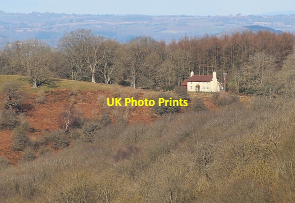 Photo 6"x4" Peacock Villa Chandler's Cross\/SO7738 c2013