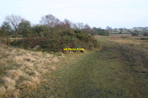 Photo 6"x4" Path to Green Farm Higher Poynton c2013