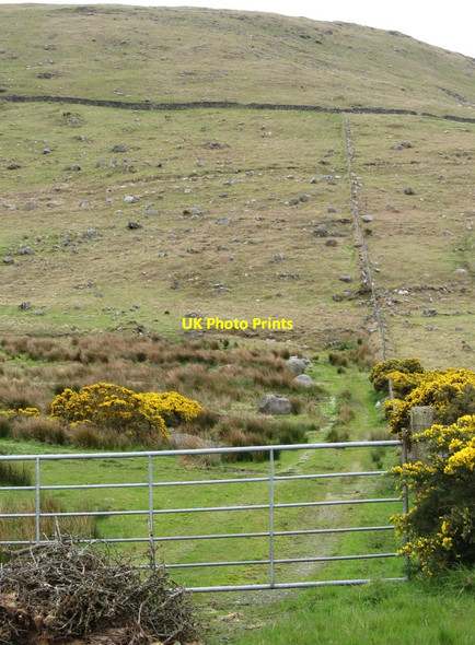 Photo 6"x4" Access to intake land between the Kinnahalla Road and the Spelga ridge Hilltown\/J2128 c2012