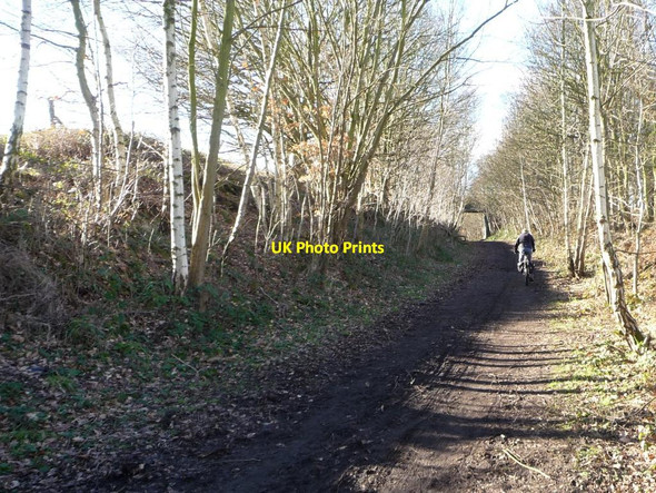 Photo 6"x4" Cyclist on the Trans Pennine Trail, near Ben Bank Dodworth Bottom c2013