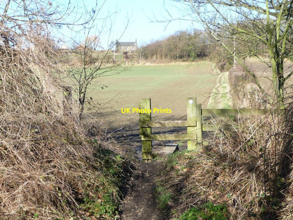 Photo 6"x4" Footpath to Ben Bank Farm Dodworth Bottom c2013