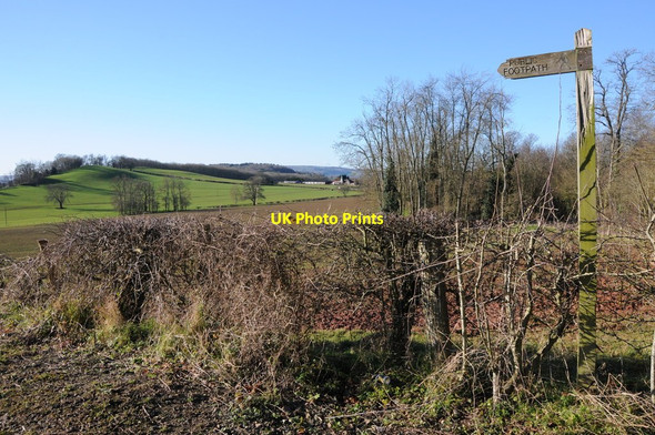 Photo 6"x4" Footpath to Gold Hill farm Bowley Lane c2013