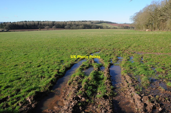 Photo 6"x4" Farmland near Redcastle Farm Bowley Lane c2013