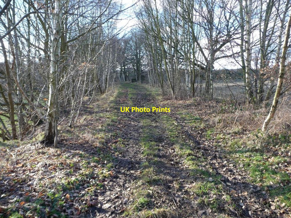 Photo 6"x4" Former branch line to Wentworth Silkstone colliery Dodworth Bottom c2013