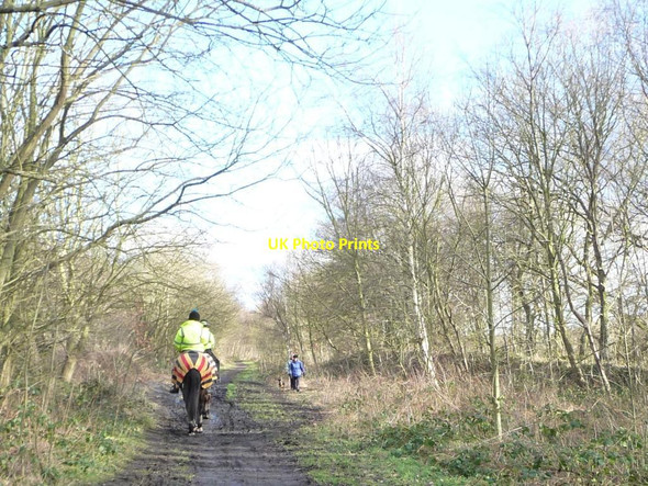 Photo 6"x4" Riders and dog walkers on the trail Dodworth Bottom c2013