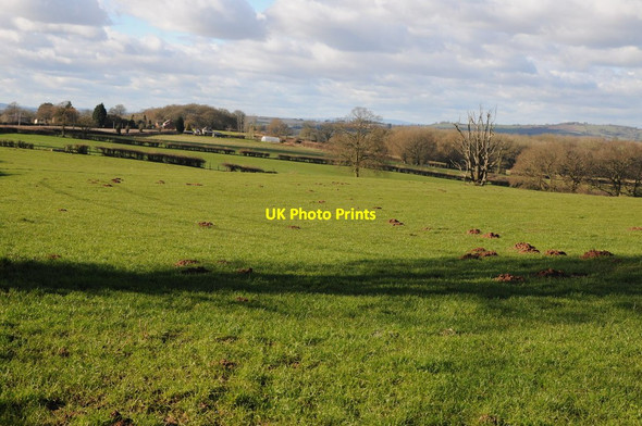 Photo 6"x4" Farmland at Stoke Lane Munderfield Row c2013