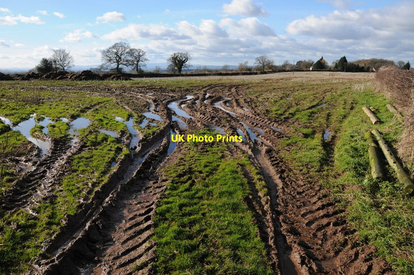 Photo 6"x4" Muddy field at Stoke Lane Munderfield Row c2013