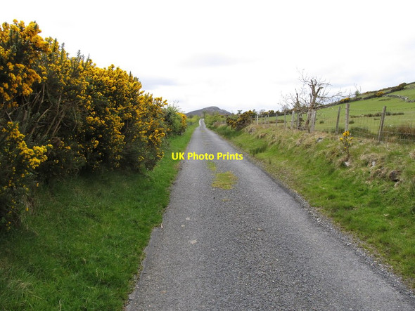 Photo 6"x4" View south along Kinnahalla Road Kilcoo c2012