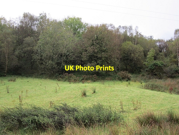 Photo 6"x4" A small field Altnapaste c2012