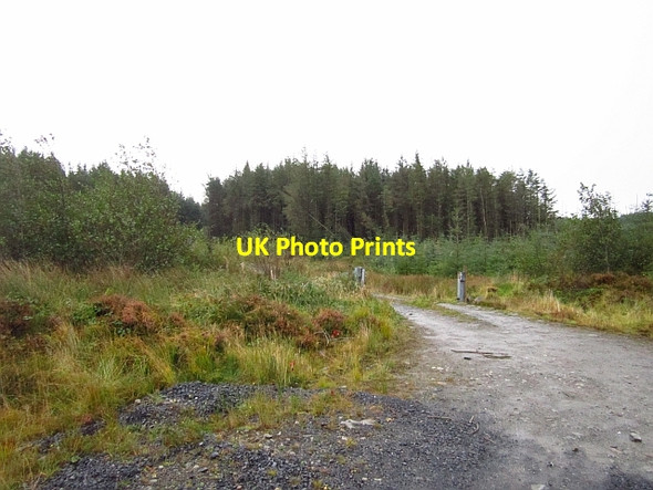 Photo 6"x4" Logging road, Rowantree Brae Altnapaste c2012