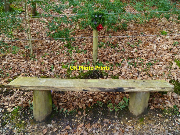 Photo 6"x4" Memorial seat with wreath in Dock Copse Burridge\/SU5110 c2013