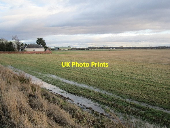 Photo 6"x4" Stubble, Throsk Throsk c2013