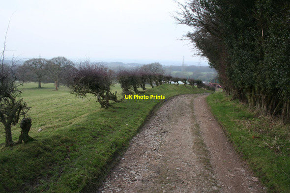 Photo 6"x4" Between Windgather and Haresteads Farm Higher Poynton c2013
