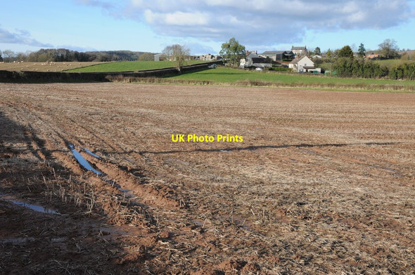 Photo 6"x4" Upper Town, Ullingswick Crozen c2013