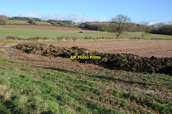 Photo 6"x4" Muck bury at Ullingswick Crozen c2013