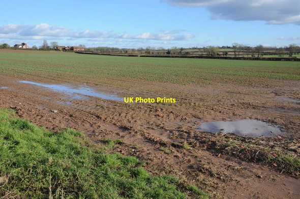 Photo 6"x4" Arable field at Felton Crozen c2013