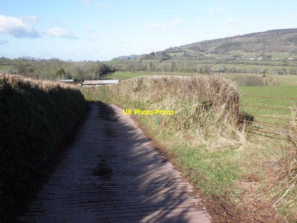 Photo 6"x4" Road to Well Farm Cowbridge\/SS9542 c2013