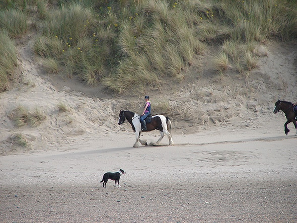 Photo 6"x4" Riding on the beach Ynys Tachwedd\/SN6093 c2008